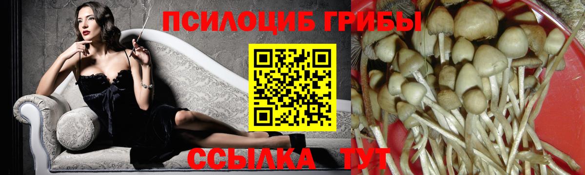 Нурлат  Галлюциногенные грибы MAGIC MUSHROOMS  Вход с VPN  Псилоцибиновые грибы Cubensis 